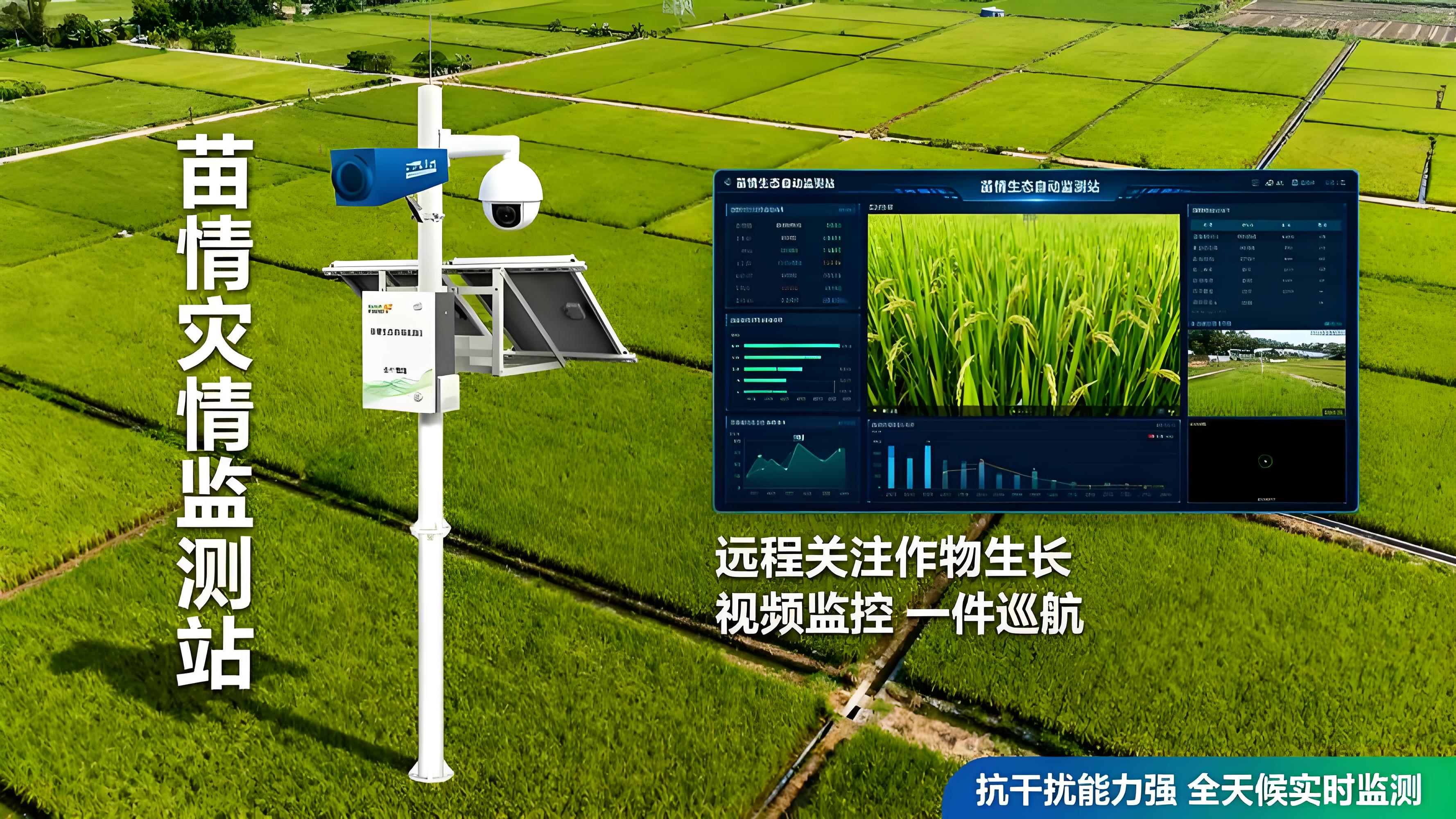 苗情监测系统